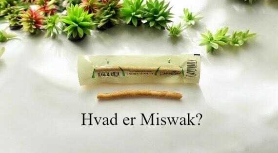 Miswak