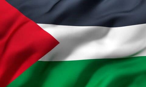 Mini Palæstina Flag 20 x 30 cm