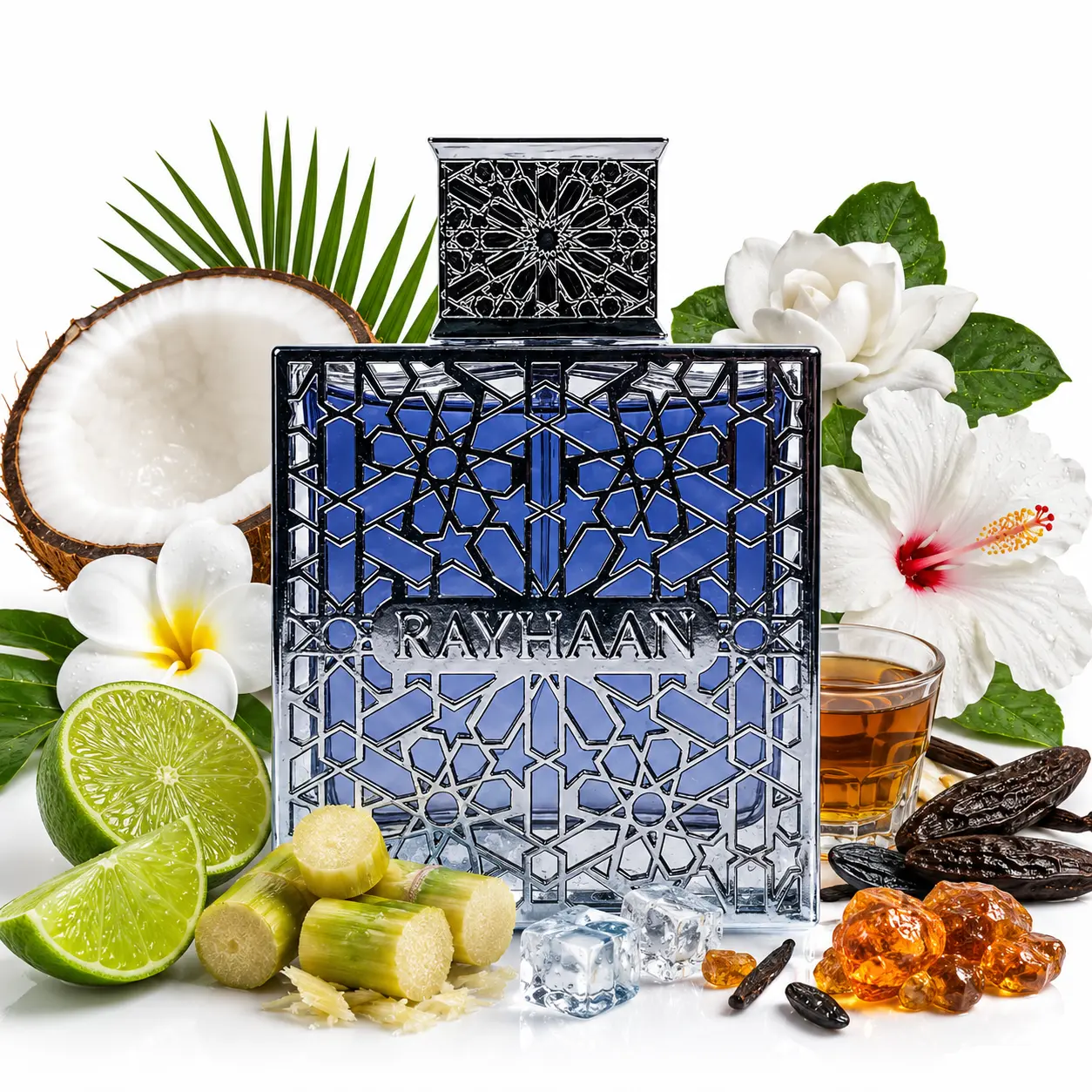 Køb Rayhaan - Aquatica EDP 100ml - 450,00 DKK,-