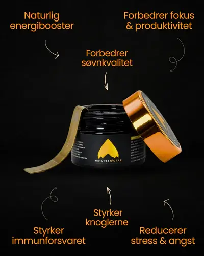 Natures N'ctar Shilajit 30g (Himalaya)