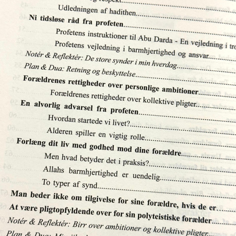 Din rejse mod en smuk karakter (Forældre)