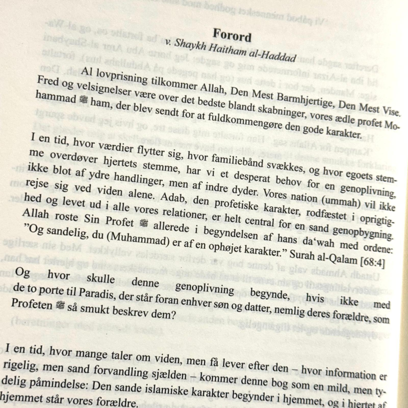 Din rejse mod en smuk karakter (Forældre)