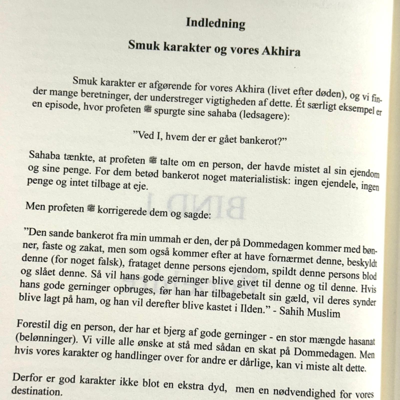 Din rejse mod en smuk karakter (Forældre)
