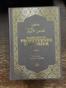 Skabelsen Og Profeternes Historier Bind 2