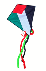 Palæstina luftdrage