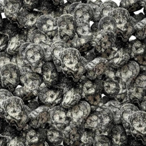 Salt skalle, Bubs, 3,4 kg